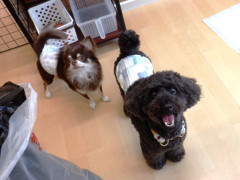 DSCF2994.JPG