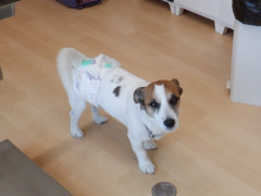 DSCF2991.JPG