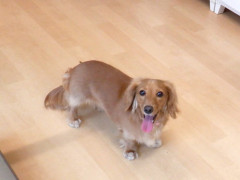DSCF2990.JPG