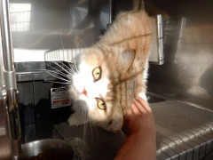 DSCF3006.JPG