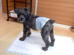 DSCF3088.JPG