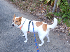 DSCF3058.JPG