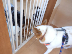 DSCF3061.JPG