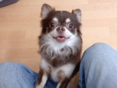 DSCF3063.JPG