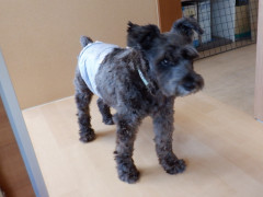 DSCF3104.JPG