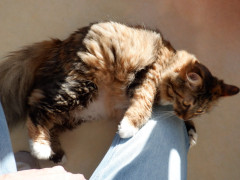 DSCF3101.JPG