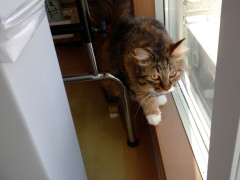DSCF3108.JPG