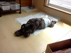DSCF3116.JPG