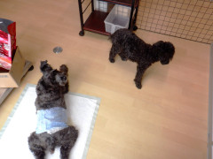 DSCF3126.JPG