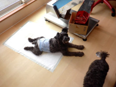 DSCF3125.JPG