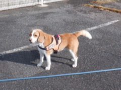DSCF3131.JPG