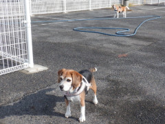 DSCF3135.JPG