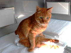 DSCF3136.JPG