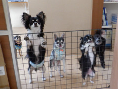 DSCF3163.JPG