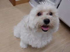 DSCF3171.JPG