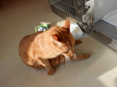 DSCF3145.JPG