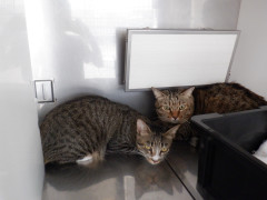 DSCF3174.JPG