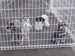 DSCF3177.JPG