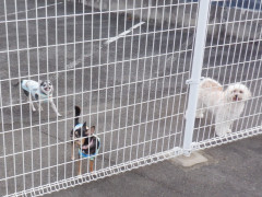 DSCF3180.JPG