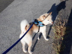 DSCF3191.JPG