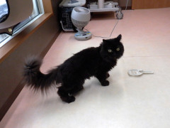 DSCF3238.JPG