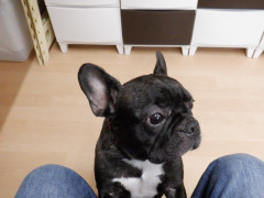 DSCF3229.JPG