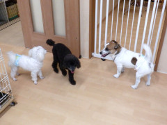 DSCF3225.JPG