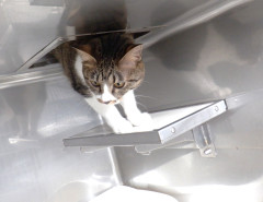 DSCF3251.JPG