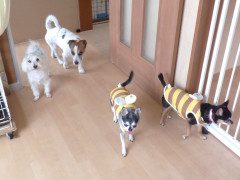DSCF3284.JPG