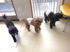 DSCF3275.JPG