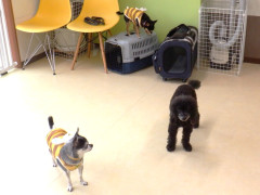 DSCF3312.JPG