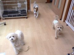 DSCF3314.JPG