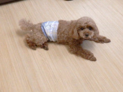 DSCF3337.JPG