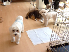 DSCF3335.JPG