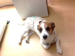 DSCF3361.JPG
