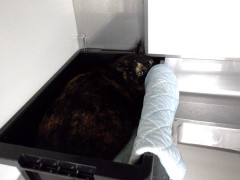 DSCF3364.JPG