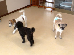 DSCF3377.JPG