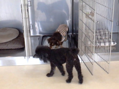 DSCF3370.JPG