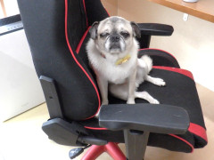 DSCF3380.JPG