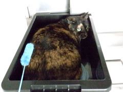 DSCF3382.JPG