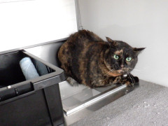 DSCF3385.JPG