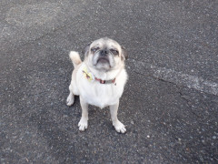 DSCF3386.JPG