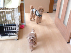 DSCF3394.JPG