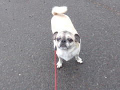 DSCF3398.JPG