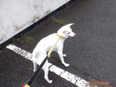 DSCF3423.JPG