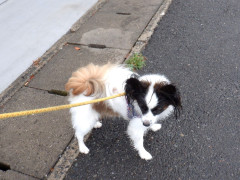 DSCF3430.JPG