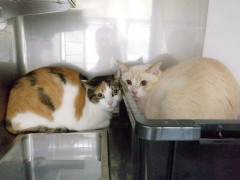 DSCF3432.JPG