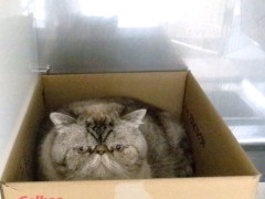 DSCF3434.JPG