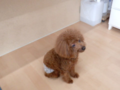 DSCF3437.JPG