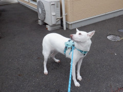 DSCF3450.JPG